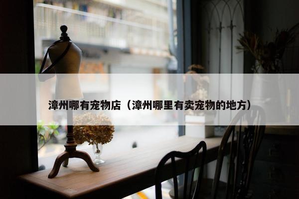 漳州哪有宠物店（漳州哪里有卖宠物的地方）