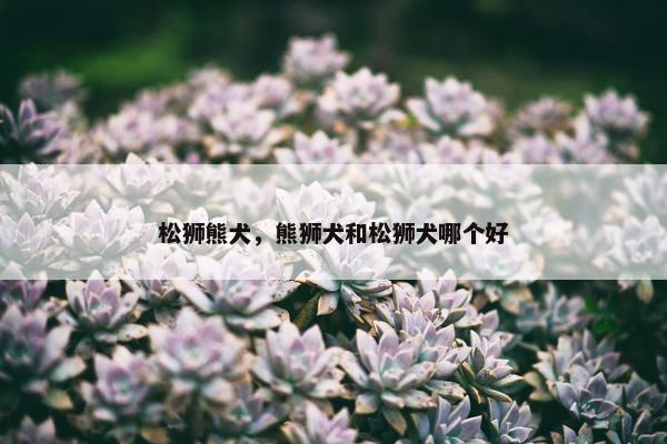 松狮熊犬，熊狮犬和松狮犬哪个好