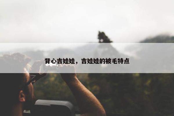 背心吉娃娃，吉娃娃的被毛特点
