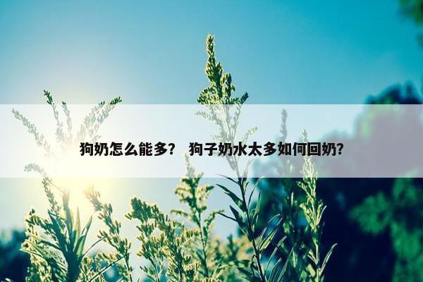 狗奶怎么能多？ 狗子奶水太多如何回奶？
