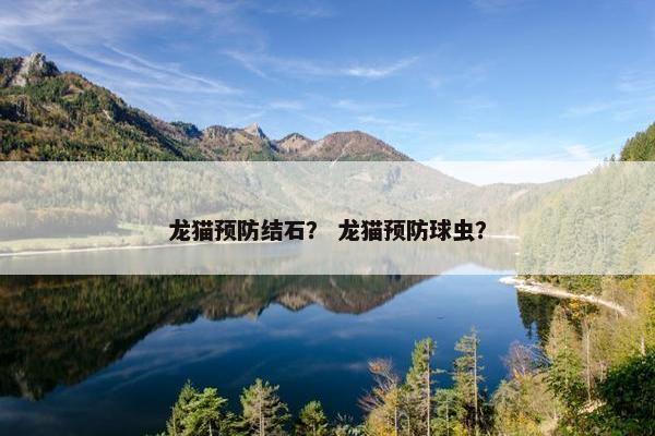 龙猫预防结石？ 龙猫预防球虫？