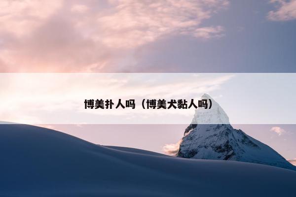 博美扑人吗（博美犬黏人吗）