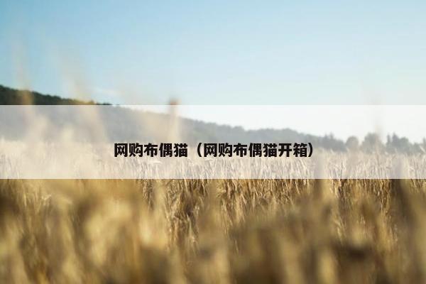 网购布偶猫（网购布偶猫开箱）