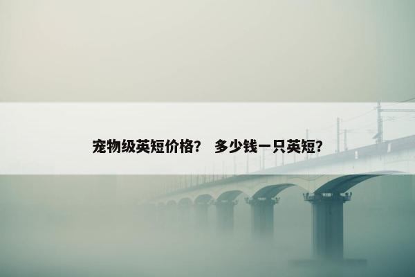 宠物级英短价格？ 多少钱一只英短？