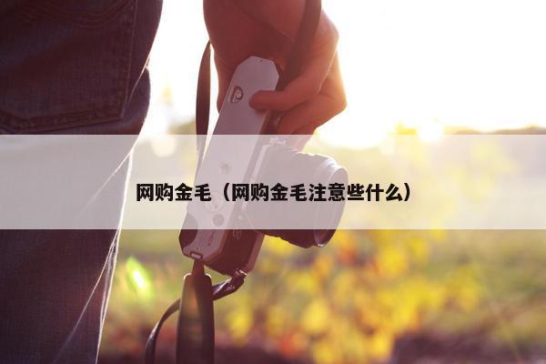 网购金毛（网购金毛注意些什么）