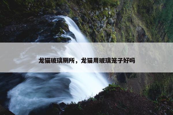 龙猫玻璃厕所，龙猫用玻璃笼子好吗