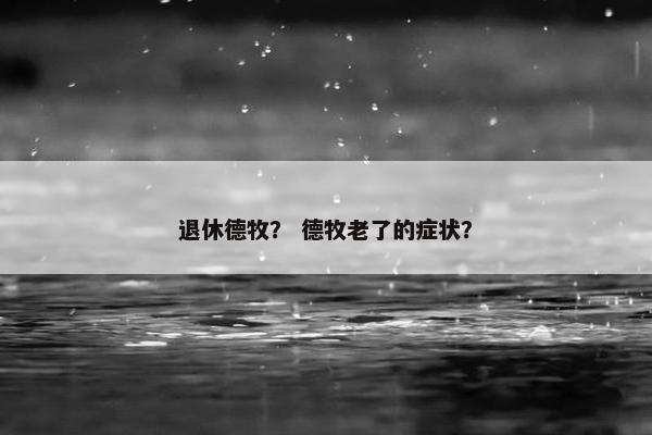 退休德牧？ 德牧老了的症状？