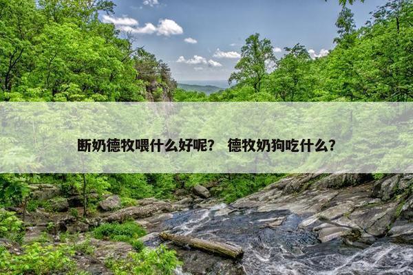 断奶德牧喂什么好呢？ 德牧奶狗吃什么？
