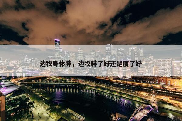 边牧身体胖，边牧胖了好还是瘦了好