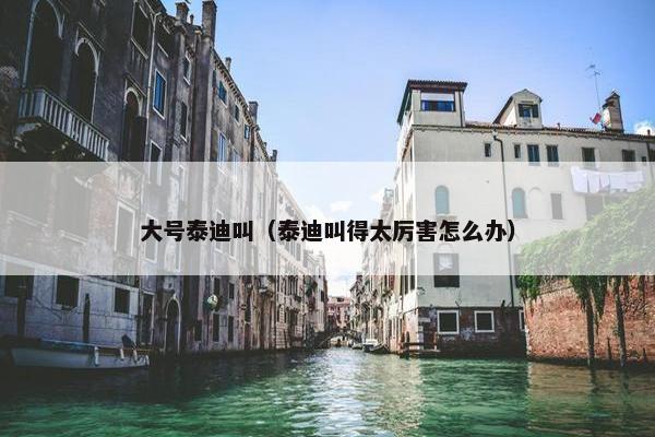 大号泰迪叫（泰迪叫得太厉害怎么办）