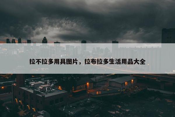 拉不拉多用具图片，拉布拉多生活用品大全