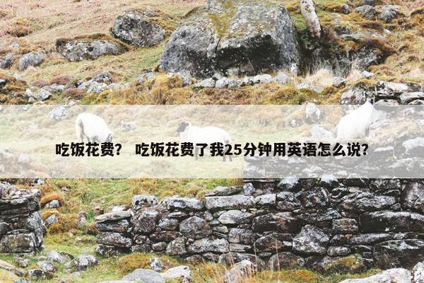 吃饭花费？ 吃饭花费了我25分钟用英语怎么说？