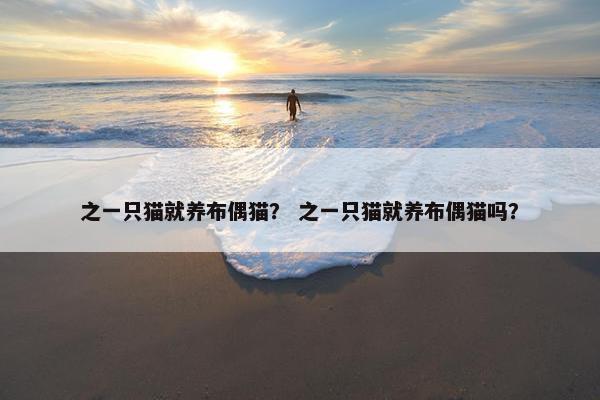 之一只猫就养布偶猫？ 之一只猫就养布偶猫吗？