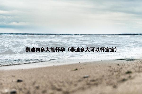 泰迪狗多大能怀孕（泰迪多大可以怀宝宝）