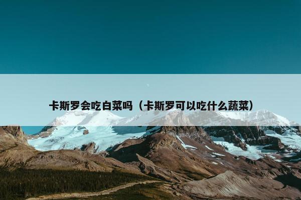 卡斯罗会吃白菜吗（卡斯罗可以吃什么蔬菜）