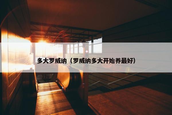 多大罗威纳（罗威纳多大开始养最好）