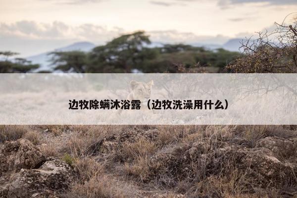 边牧除螨沐浴露（边牧洗澡用什么）