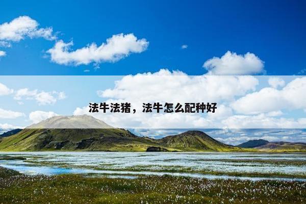 法牛法猪，法牛怎么配种好