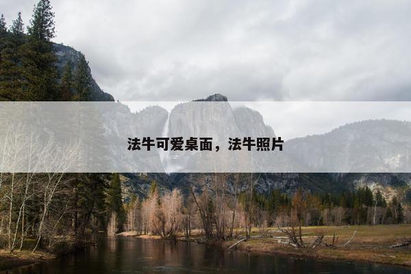 法牛可爱桌面，法牛照片