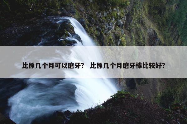 比熊几个月可以磨牙？ 比熊几个月磨牙棒比较好？
