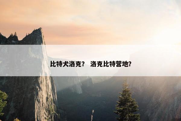 比特犬洛克？ 洛克比特营地？