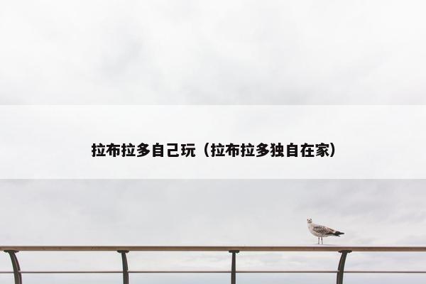 拉布拉多自己玩（拉布拉多独自在家）