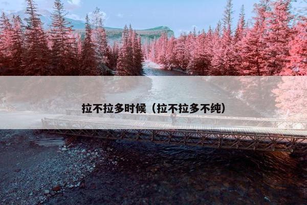 拉不拉多时候（拉不拉多不纯）