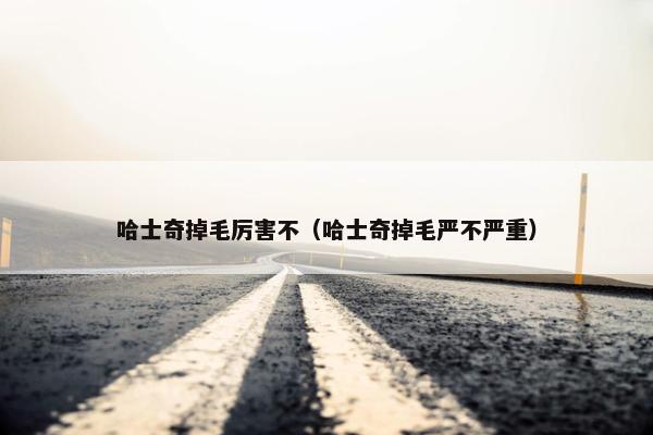 哈士奇掉毛厉害不（哈士奇掉毛严不严重）