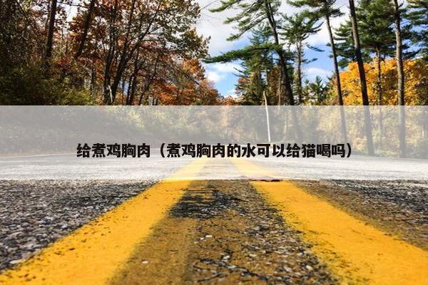 给煮鸡胸肉（煮鸡胸肉的水可以给猫喝吗）