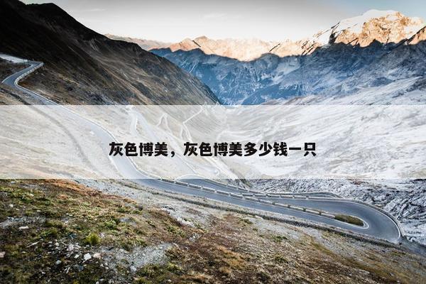 灰色博美，灰色博美多少钱一只