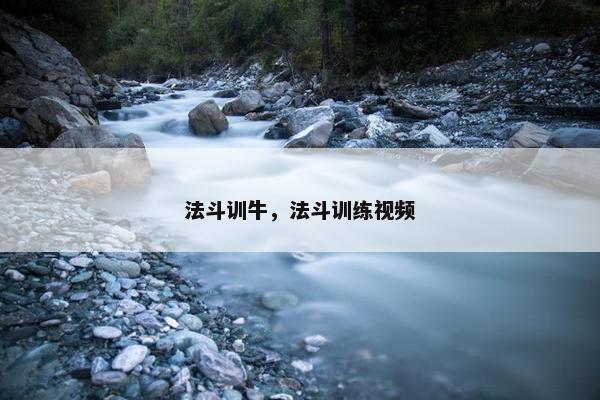法斗训牛，法斗训练视频