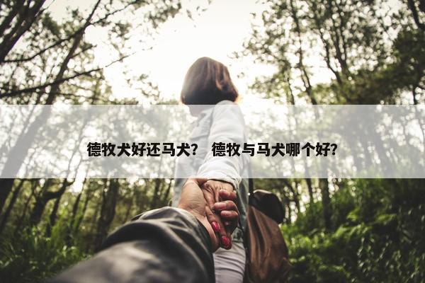 德牧犬好还马犬？ 德牧与马犬哪个好？