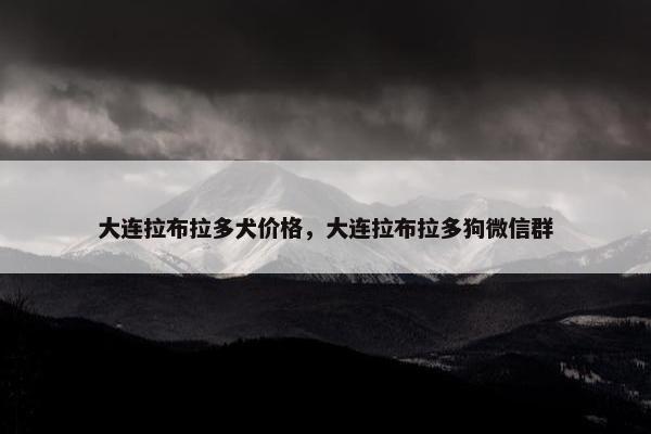 大连拉布拉多犬价格，大连拉布拉多狗微信群