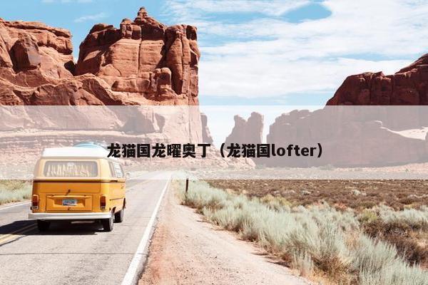 龙猫国龙曜奥丁（龙猫国lofter）