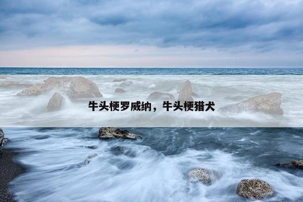 牛头梗罗威纳，牛头梗猎犬