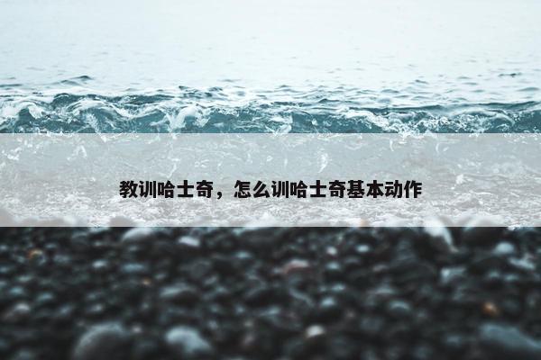 教训哈士奇，怎么训哈士奇基本动作