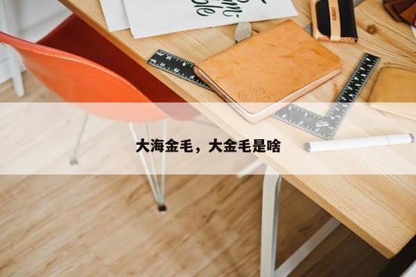 大海金毛，大金毛是啥