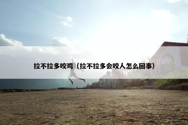拉不拉多咬鸡（拉不拉多会咬人怎么回事）