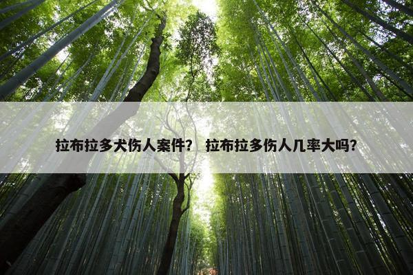 拉布拉多犬伤人案件？ 拉布拉多伤人几率大吗？