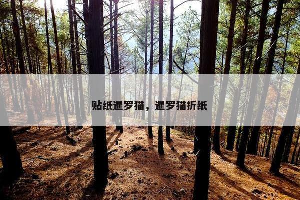 贴纸暹罗猫，暹罗猫折纸