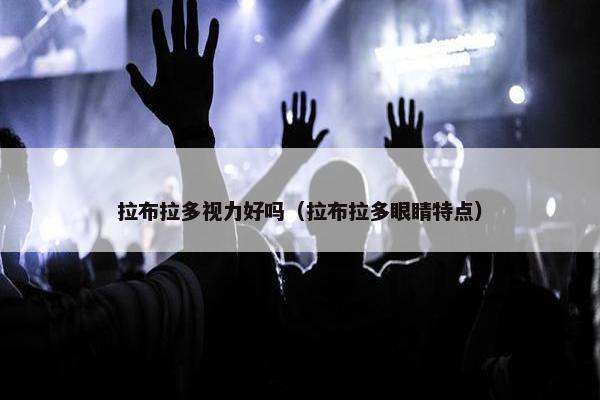 拉布拉多视力好吗（拉布拉多眼睛特点）