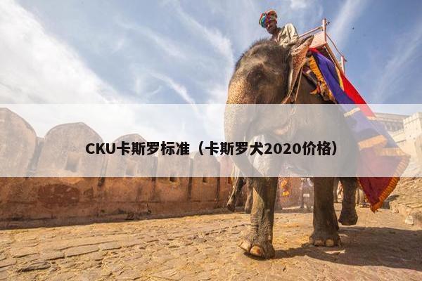 CKU卡斯罗标准（卡斯罗犬2020价格）