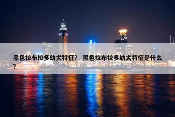 黑色拉布拉多幼犬特征？ 黑色拉布拉多幼犬特征是什么？