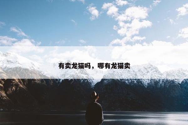 有卖龙猫吗，哪有龙猫卖