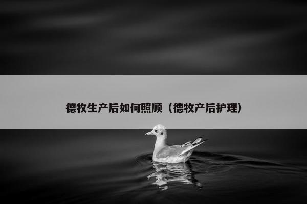 德牧生产后如何照顾（德牧产后护理）