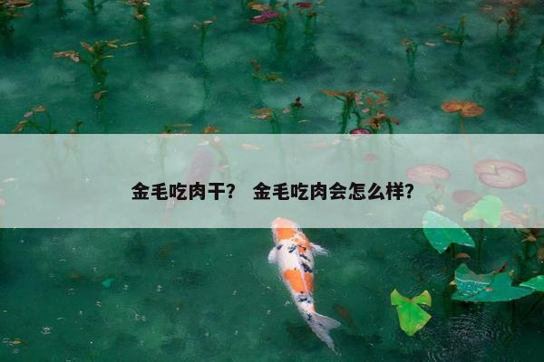 金毛吃肉干？ 金毛吃肉会怎么样？