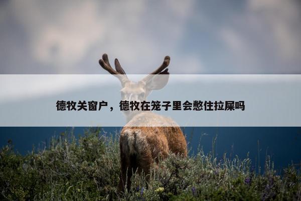 德牧关窗户，德牧在笼子里会憋住拉屎吗