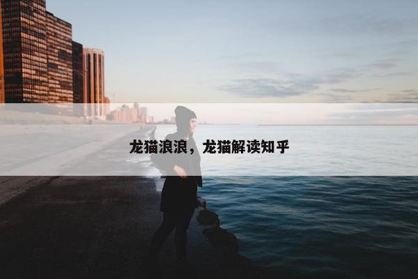 龙猫浪浪，龙猫解读知乎