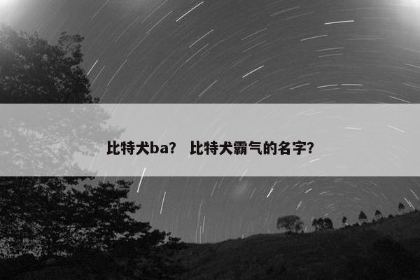 比特犬ba？ 比特犬霸气的名字？