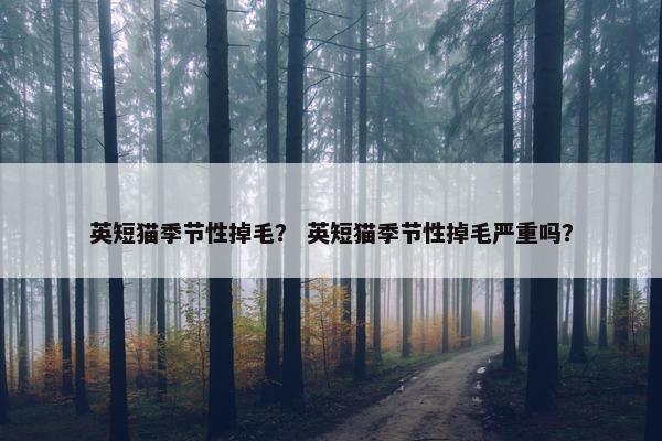 英短猫季节性掉毛？ 英短猫季节性掉毛严重吗？